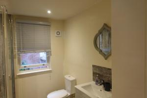 een badkamer met een toilet, een wastafel en een spiegel bij Unique, City-Center Location in Salisbury