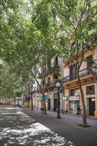 a tree lined street in a city with buildings at BBarcelona Rogent Flats in Barcelona