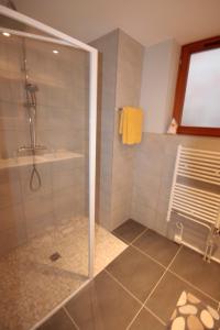 y baño con ducha y puerta de cristal. en Appartement Jeanne, en Kaysersberg