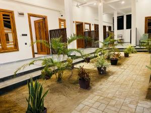 Taman di luar Alice Rest Arugambay