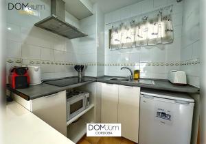 Kuchyňa alebo kuchynka v ubytovaní DOMuum Holidays - CORDOBA Apartments