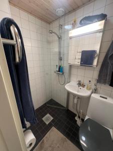 a bathroom with a sink and a toilet at Mukavat kaksi huonetta ja keittiö aseman lähellä in Hämeenlinna
