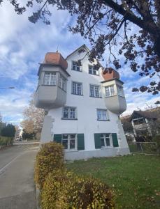 a white building with two flower pots on it at Zentrales Wohlfühlapartment mit gratis Stellplatz in Kreuzlingen