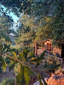 Zahrada ubytování Lodge Colchagua Camp