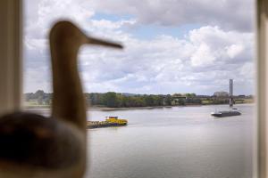 eine Ente, die aus einem Fenster auf einen Fluss mit Booten schaut in der Unterkunft Fährmann im Häuschen am Rhein in Rees