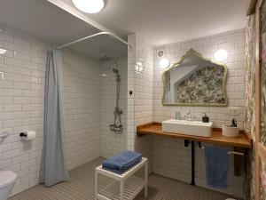 a bathroom with a sink and a mirror at Apartamentos rurales AGIÑAGA in Irún