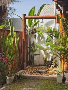 Secret Spot Surf and Stay外面的花园