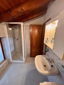 un baño con lavabo y ducha en appartamento antonella, en Brentonico