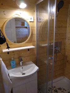 a bathroom with a shower and a sink and a mirror at Mecsekalja Fakuckó in Pécs