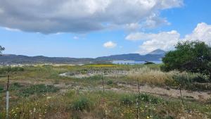 a field with a fence and a body of water at Milobsidian house in Zefiría