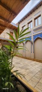 a house with a plant in front of a building at Ornament Boutique Hotel in Khiva