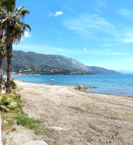 a beach with a palm tree and the ocean at TheOldHouse Seaview in Corfu