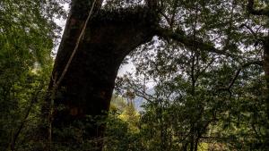 Un paisaje natural cerca del lodge