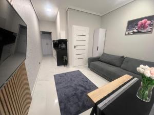 Μια τηλεόραση ή/και κέντρο ψυχαγωγίας στο Apartamenty Sienkiewicza 41