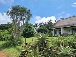 a fence in front of a house with palm trees at Mabuda Guest Farm in Stegi