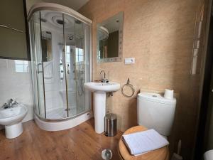 a bathroom with a shower and a sink and a toilet at Pensión Restaurante Tino in Germade
