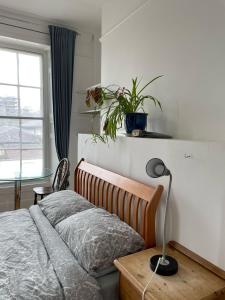 a bedroom with a bed and a lamp on a table at Bryn Awel in Aberystwyth