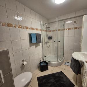 a bathroom with a shower and a toilet and a sink at Ferienwohnung Goldrausch in Bernkastel-Kues +42 photos