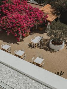 an overhead view of a patio with tables and chairs and flowers at Ibara Ibiza Hotel Boutique in Es Cana +72 photos