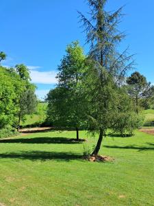 Aed väljaspool majutusasutust O'PHILDELAU