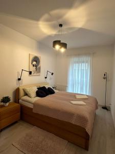 a bedroom with a large bed and a window at Apartament GB przy PCK 3A z bezpłatnym parkingiem by Gingerbread Apartments in Toruń
