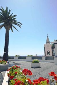 Gallery image of SUNSCAPE Ocean -Apt de 1 quarto, Ponta do Sol in Ponta do Sol