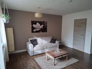 梅特斯多夫Ferienhaus Ewergass的客厅里有一张沙发和一张咖啡桌。