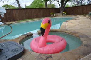 a pink inflatable flamingo in a swimming pool at Lake Highlands Retreat in Dallas