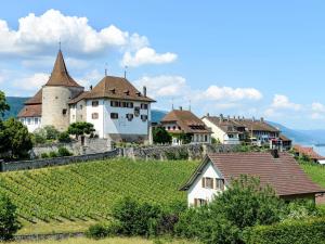 a cluster of houses on a hill with vines at Grosse Charmante Wohnung in Erlach