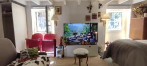Televízia a/alebo spoločenská miestnosť v ubytovaní PARIS AUTHENTIC HOUSE studio with green courtyard 12 rue labourse Gentilly 94250