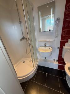 a bathroom with a shower and a sink and a toilet at Zum alten Friederich in Apelern +8 photos