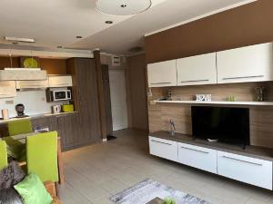 Kuchyňa alebo kuchynka v ubytovaní Platina Apartman