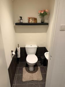 a small bathroom with a toilet and a sink at Saya Loft in Amersfoort +17 photos