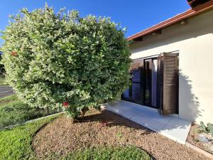 a large bush in front of a house at Suíte na cidade do Cristo! in Encantado +6 photos