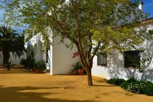 a tree in front of a white building at Cortijo de Vega Grande in Llerena
