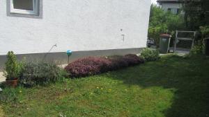 Ein Garten an der Unterkunft Enjoyit-WS