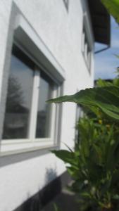 Ein Garten an der Unterkunft Enjoyit-WS