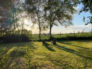 un parque con dos bancos en el césped en Sommerby Sky, en Brodersby