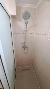 a shower with a shower head in a bathroom at Cool Apartment Radauti in Rădăuţi