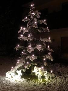 Fotografie z fotogalerie ubytování Haus Hubertus v destinaci Enzklösterle