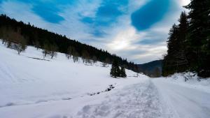 Haus Hubertus v zimě
