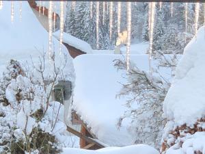 Haus Hubertus v zimě