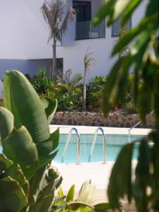 - la fermeture d'une piscine avec des plantes dans l'établissement Oasis in paradise with pool, à La Oliva