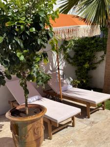 Fotografie z fotogalerie ubytování La Maison De Ville - Piscine & SPA v Sète