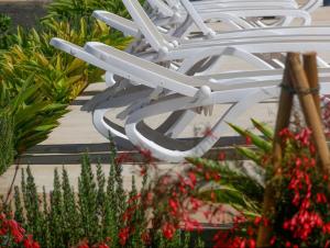 un groupe de chaises blanches assises à côté de quelques plantes dans l'établissement Oasis in paradise with pool, à La Oliva
