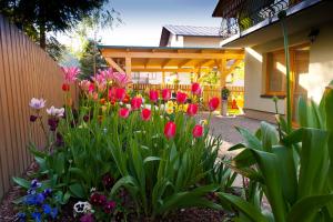un jardín de flores frente a una casa en Willa Nowa Osada, en Wisła