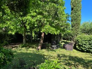 un parc avec un banc et des arbres dans l'herbe dans l'établissement Havre de paix cosy avec jardin proche du centre-ville de Poitiers, à Poitiers