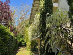 un bâtiment recouvert de lierre sur le côté dans l'établissement Havre de paix cosy avec jardin proche du centre-ville de Poitiers, à Poitiers 3 autres photos