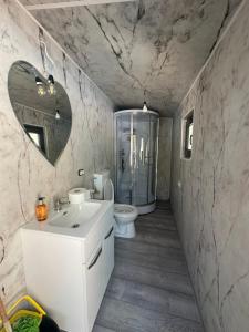 a bathroom with a toilet and a sink and a shower at Căsuța de la munte in Rîşca +24 photos