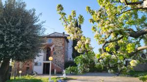Κήπος έξω από το Casa Fornaci +10 φωτογραφίες